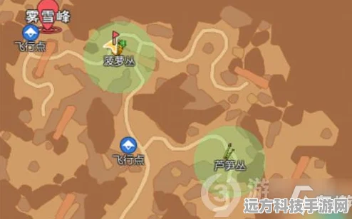 小森生活霓影羊驼刷新地点全揭秘