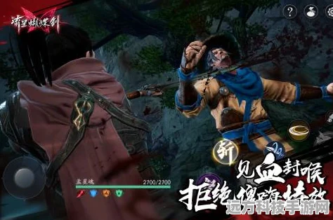 流星蝴蝶剑手游深度攻略，顶尖高手的职业选择揭秘