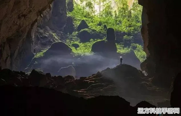光遇探索，揭秘雨林山洞中的玫瑰朋友