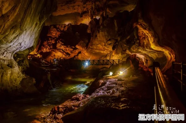 光遇探索，揭秘雨林山洞中的玫瑰朋友