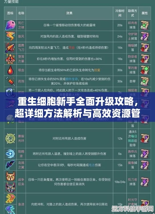 重生细胞图纸提取器操作指南，解锁高效资源管理之道