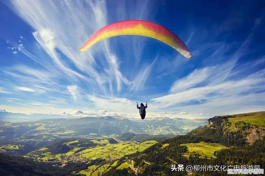 光遇飞翔季，探秘第二个任务的通关秘籍