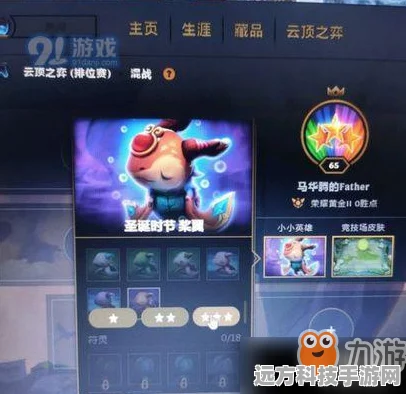 云顶之弈，揭秘那些拥有大尾巴的小小英雄们