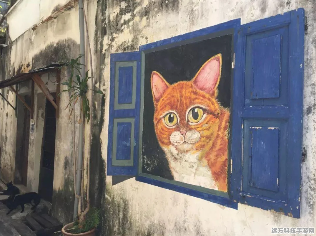 猫之城涂鸦艺术大揭秘，全面解锁获取秘籍