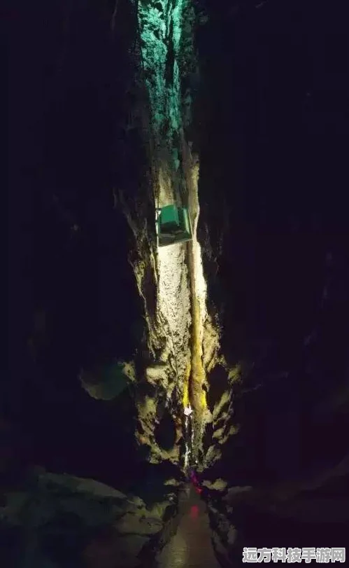 摩尔庄园摩尔探险，沙漠残骸区与非残骸区的神秘面纱