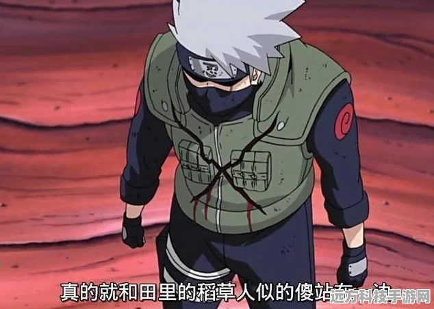 火影忍者卡卡西登场全回顾，经典战役不容错过！
