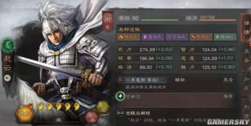 三国志战略版，解锁武将战法搭配新境界，策略制胜全攻略