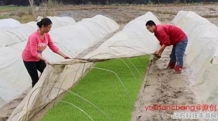 探索阳春艺曲，礼包兑换码使用全攻略