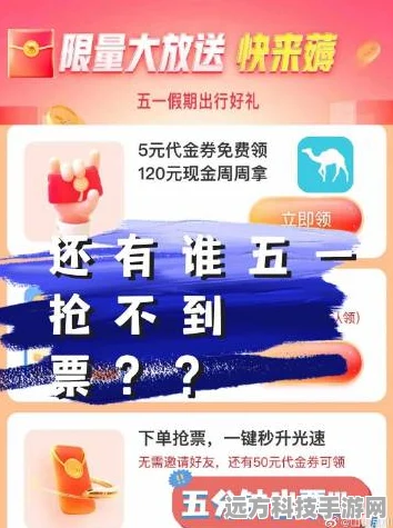 玩转，省钱阵容与取号秘籍大揭秘