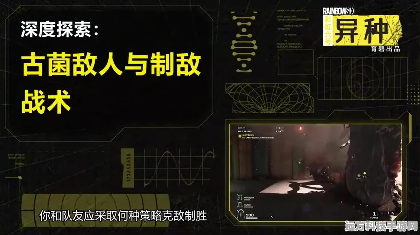 辐射三深度探索，辐射Perk的魅力与实战解析