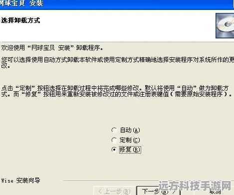 深度解析艾尔登法环，卸载随机 Mod 的终极指南