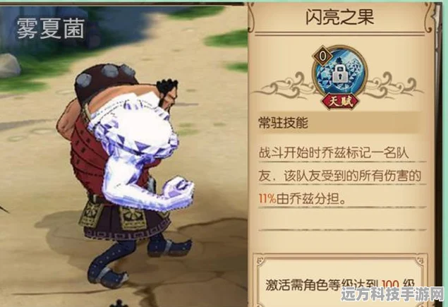 航海王燃烧意志，新世界乔兹，防御与输出的双重担当