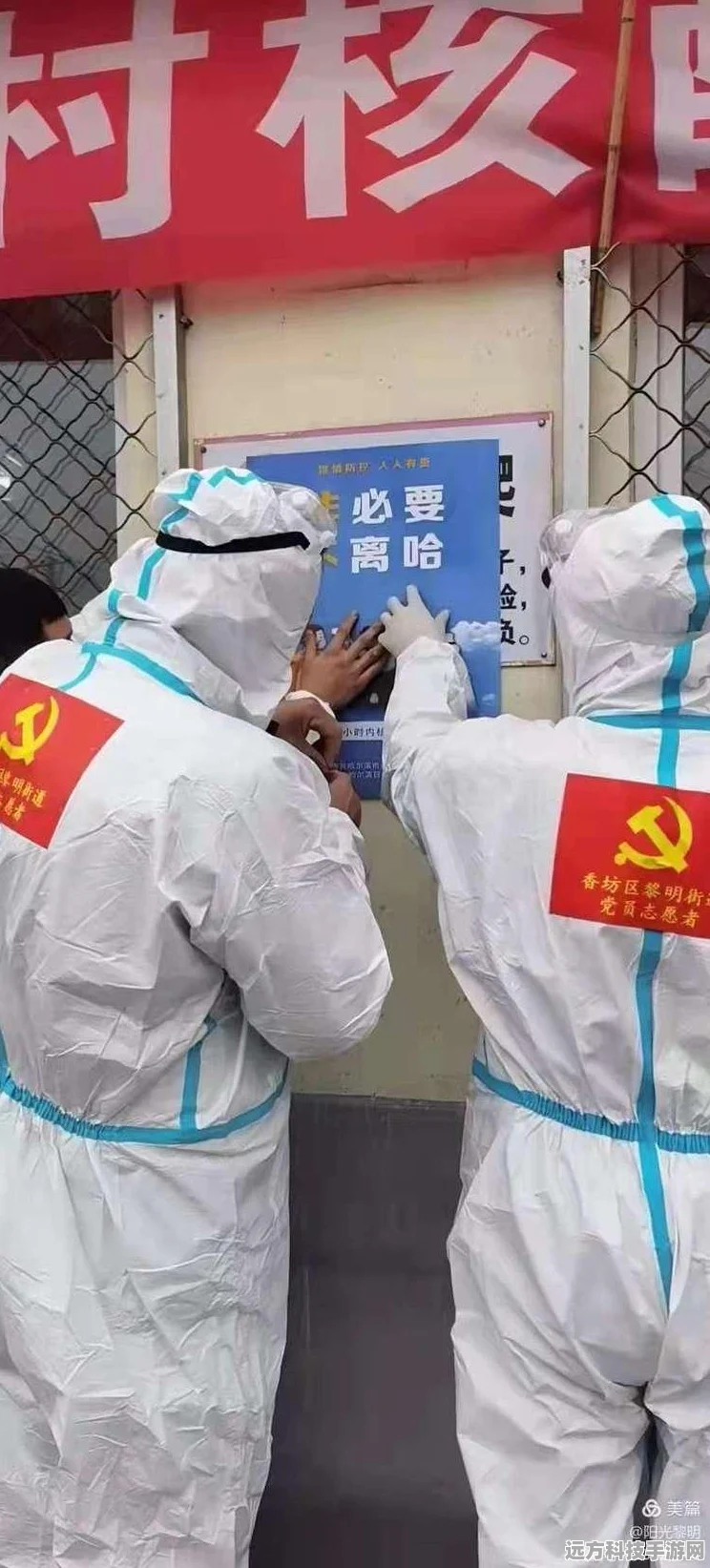 黎明觉醒，探寻喇叭菌的奇妙之旅