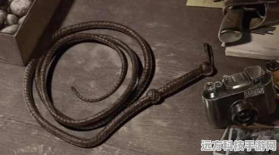 夺宝奇兵古老之圈，蛇的宝箱终极速通秘籍大公开！