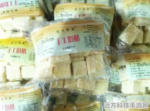 我的世界，揭秘骆驼的饮食之谜，探索沙漠新伙伴的奥秘