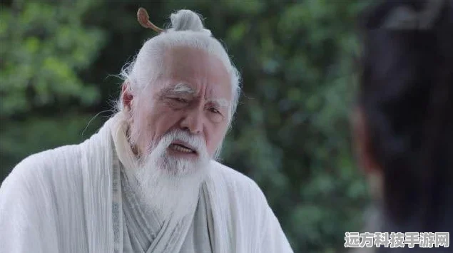 放置江湖武当派武功全揭秘，前置条件与解锁技能深度剖析