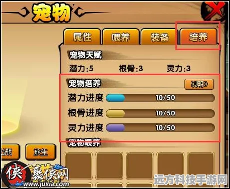 造梦西游4，揭秘光之石的获取秘籍