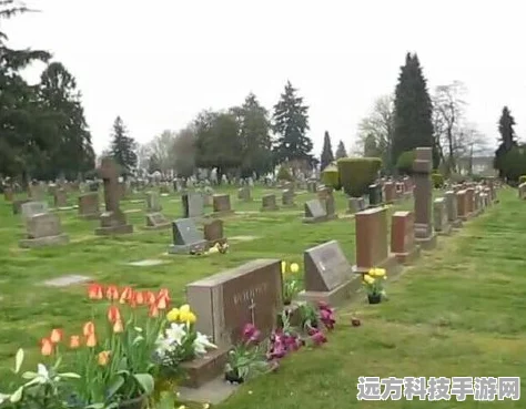 深空之眼墓园葬蝶全攻略，解锁通关秘籍与路线导航