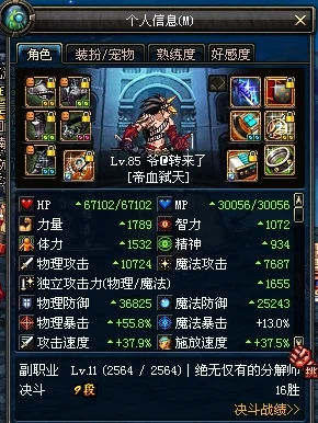 DNF帝血弑天做船长，装备搭配全攻略