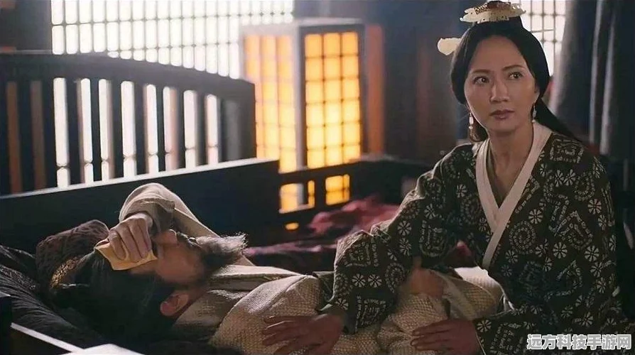 深度解析率土之滨卞夫人技能战法