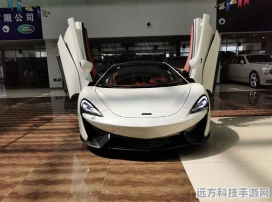2025和平精英迈凯伦570S，价格趋势与热门分析全揭秘