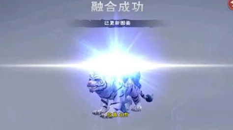 创造与魔法深度攻略，稳合6阶白虎全解析