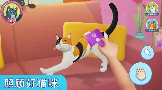 顽皮猫模拟器，萌宠养成新体验，下载开启喵趣横生之旅
