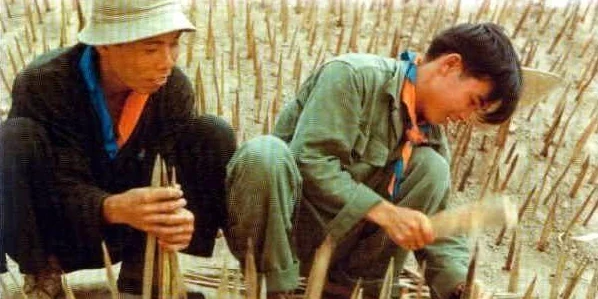 我的世界中国手机版，免费地刺陷阱模组大揭秘