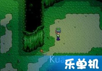 星露谷物语深度探索，戒指佩戴之谜，揭秘手指背后的寓意