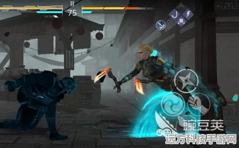 暗影格斗3第二章Boss项楚，挑战与攻略的深度剖析