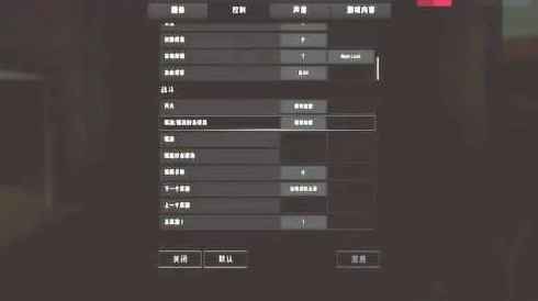 绝地求生，掌握快速开镜设置，秒变射击高手