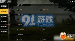 绝地求生全军出击，按键设置全攻略，助你战场称雄
