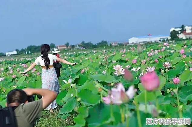 原神秘境追踪，莲蓬生长的奇妙之旅