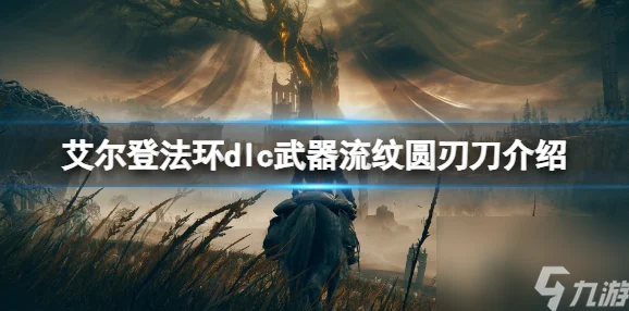 艾尔登法环DLC新神器，神圣黑铁大鎚配装全攻略