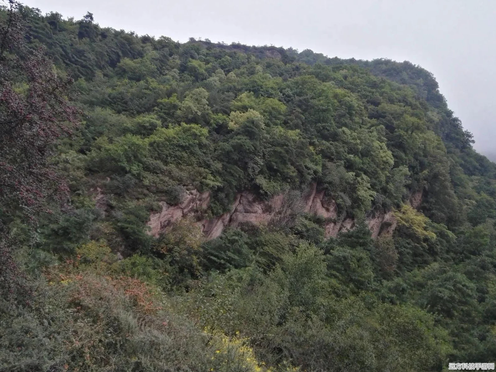 烟雨江南新景绽放，江南百景图系列建筑即将梦回上线