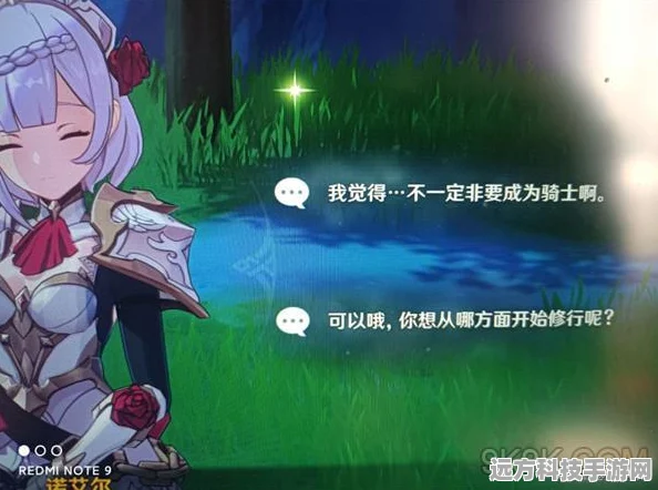 原神诺艾尔邀约任务，揭秘隐藏成就的奥秘