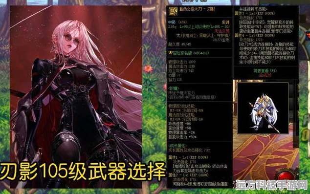 DNF110剑宗装备搭配全攻略，110级剑宗如何选装