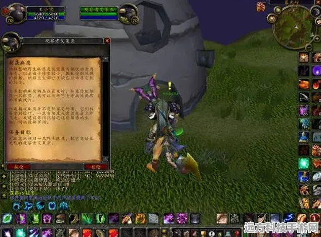 魔兽世界怀旧服，TBC P3阶段德鲁伊大鸟任务全攻略