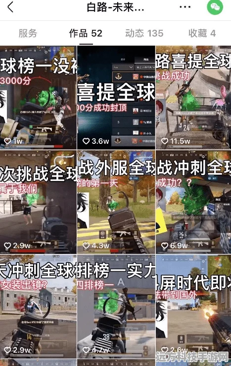 绝地求生未来之役，第四周通行证任务全攻略，助你轻松夺魁，满载而归！