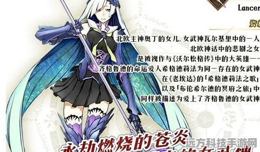 FGO泳装布伦希尔德羁绊礼装全解析