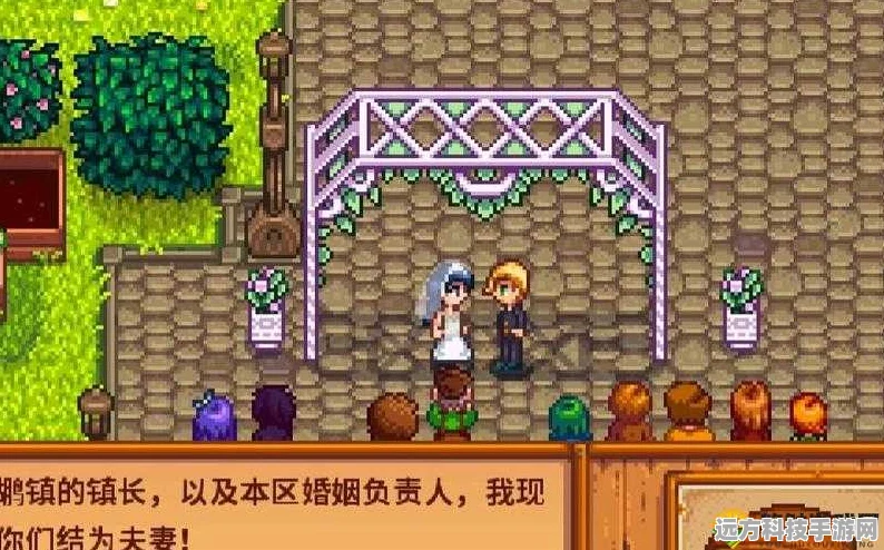 星露谷物语结婚全攻略，打造你的甜蜜农场生活