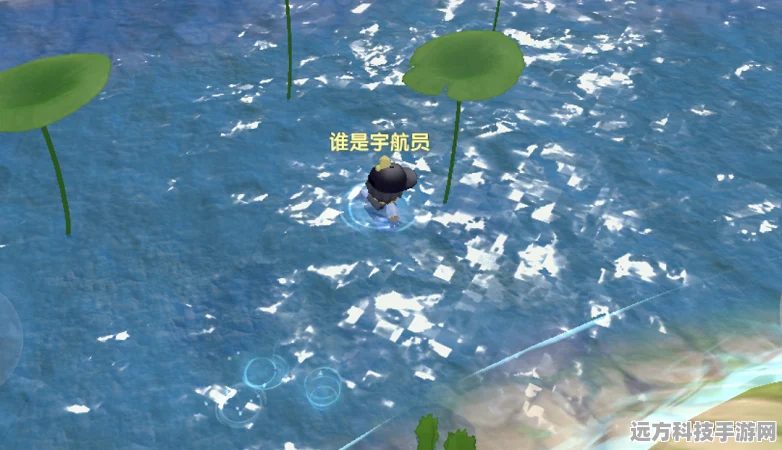 摩尔庄园手游荷叶采集秘籍，揭秘最佳采集地全攻略