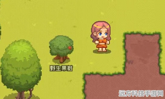 探索无限创意，沙盒物语安卓版，像素风沙盒冒险新体验