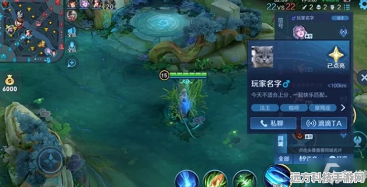 王者荣耀主页四角星星揭秘，作用与玩法全解析