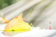 FGO兰陵王，蓝爆队中的璀璨明珠，传奇英灵再绽光辉