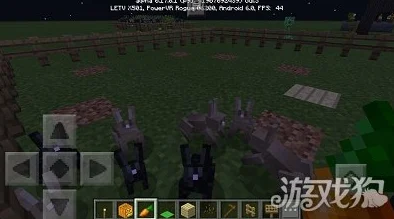 我的世界兔子繁殖技巧，打造你的萌宠乐园