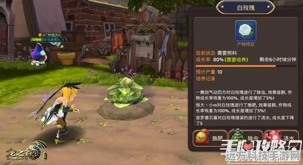 龙之谷点卡10震撼登场，带你解锁前所未有的冒险之旅