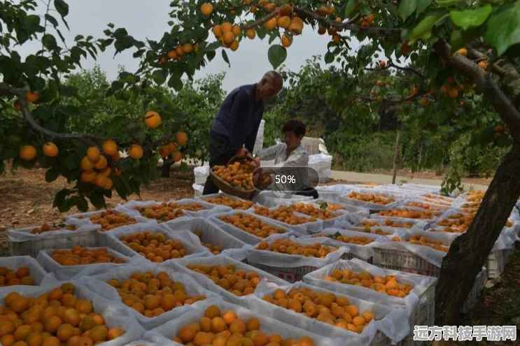植物大战僵尸2，板栗小队与机枪石榴的巅峰对决