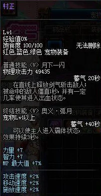 DNF大枪新纪元，最强搭档宠物震撼登场，战力飞跃秘籍大公开！