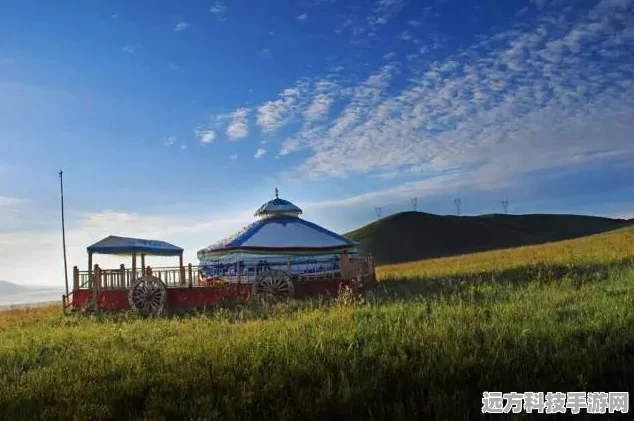 原神秘境追踪，塔尼特露营地草神瞳全攻略
